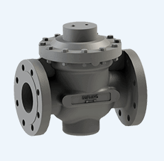 P. Info -4- Dragon Valves / Burling – WT Controls